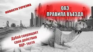 ОАЭ 2022| Дубай сокращает срок действия ПЦР теста для въезда