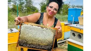 СЕГОДНЯ МЕНЯ УЖАЛИЛИ ПЧЁЛЫ!🐝 ОТКРЫВАЮ УЛИК. ПАСЕКА. ПЧЁЛЫ. ИСТОРИЯ ПРО ПЧЁЛ И МОЕГО СЫНА.