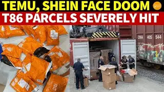 Temu, Shein Are Doomed! Type 86 Parcels Severely Hit, Thousands of Tons Detained at Customs