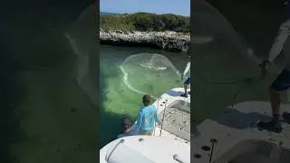 How to Catch Bait in the Bahamas