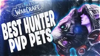 BEST HUNTER PVP PETS IN BFA!! BM HUNTER BATTLE FOR AZEOTH 8.0.1