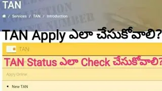 TAN online application process in Telugu l Know your TAN application Status l Haribabu