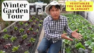 You Can Grow Food in the Winter! January Vegetable Garden Tour