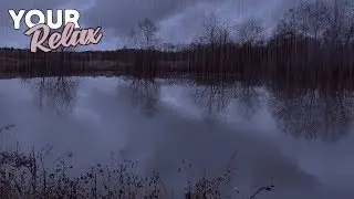 Sounds Of Rain Without Thunder. Recreation by the Lake. 30 Minutes of 4K 60 FPS Video.