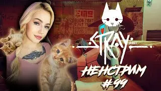 Stray ▸ Котик в киберпанке 🐈 Прохождение #1. Ненстрим #99