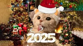 Christmas Music Mix 2025🎅 A must-have Christmas playlist 2025 ~ Christmas is coming🎄Pop Christmas