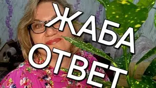 Ответ  ЖАБЕ❗️❗️❗️