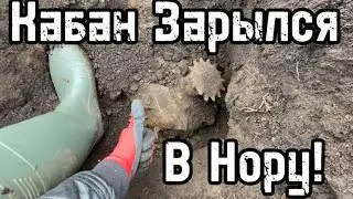 Адреналин Зашкаливает!Бонус!Сезон На Кабанов Открыт! Мега Находка! #коп2023 #бонус #металопоиск .