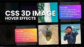 3D Flip Card Effect On Hover Using HTML & CSS | caa animation 