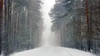 Snowfall and blizzard sounds for deeper concentration. 12 hours of winter forest.