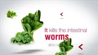 6 Health Benefits of Spinach-Motion Graphic Animation