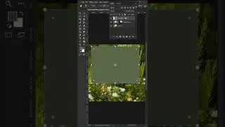 Photoshop : How to Fit Image to Canvas Automatically