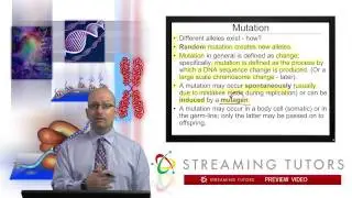 Mutations and the Nature of the Gene   Mutation Types and Causes tutorial