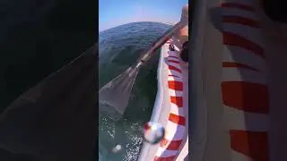 Гребем 🚣‍♀️ веслом)