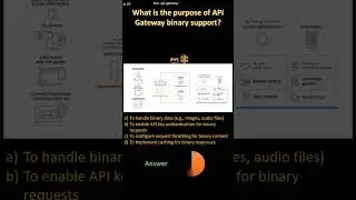 AWS API GW| What is the purpose of API Gateway binary support?