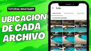 Dónde Ver Todos los Archivos Recibidos por WhatsApp - Encontrar Fotos, Videos, Documentos, Audios