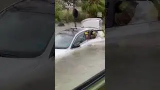 My Car Drowned! Can I Save it?