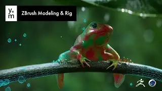 Animated Frog, Full Scene Breakdown! Chapter 1: Modeling & Rigging in C4D & Zbrush.