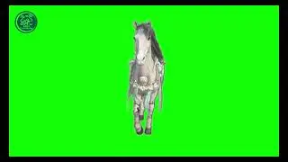 horse walking green screen | Fantasy green screen | 4K green screen #horse #greenscreen