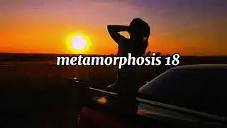 METAMORPHOSIS 18 |interworld,phonk domain, tokyophile|