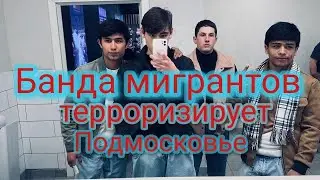 Банда мигрантов терроризирует Подмосковье