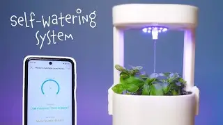 Build a self watering system (soil moisture, water pump, water level, mosfet, circuit, and code)