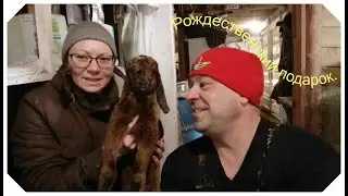 Рождественский подарок, обзор второго дома