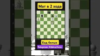 Telegram: Albinachess #chess #шахматы #chorts