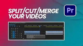 Video Editing in Premiere Pro: How To Cut/Split/Merge Video in Premiere Pro