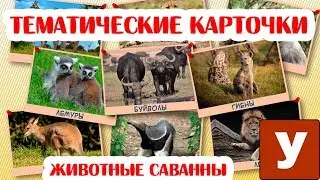 Карточки для малышей - Презентация "Обитатели саванны"