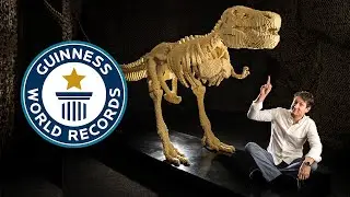 Cool LEGO World Records! | Guinness World Records