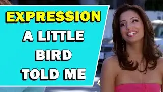 Expression 'A Little Bird Told Me' Meaning