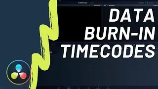 How to Data Burn-In Timecodes, Takes, Logo, And More In DaVinci Resolve