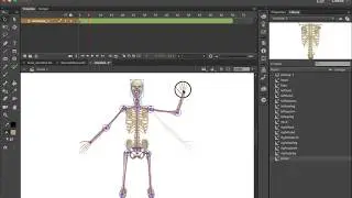 Animate a Dancing Skeleton in Adobe Animate