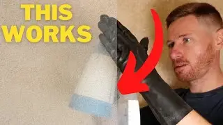 How to Clean EVERYTHING in Your Bathroom (Professionally)