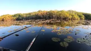 ЗАКОРМИЛИ ТОЧКУ В КУВШИНКАХ! ЛИНЬ! Рыбалка с ночевкой! Жарим шашлык!
