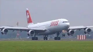 VORTEX Arrivals Amsterdam Schiphol | ULS A310F, Avianca Cargo, Kuwait Airways, Air Canada & More!