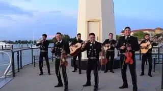 El mariachi loco/mariachi fiesta/el #1./cont:469-520-2356