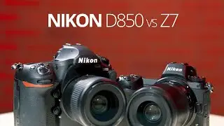 Nikon D850 vs Z7 - which camera is better?