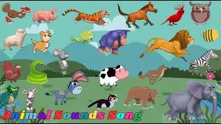 Animal Sounds Song | Nursery Rhymes | Kids TV