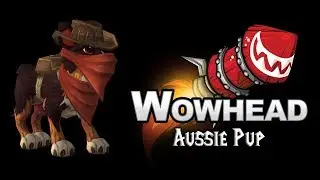 Aussie Pup