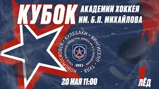 ЛЁД 1 / Кубок Академии хоккея им Б.П. Михайлова / 20.05.2023