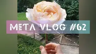 MΣƬΛ VLOG #62 - Smell my Rose 🌹🥰🍑✨💋