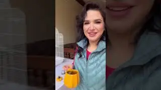 Nilufar Usmonova xonadonida oilaviy hordiq