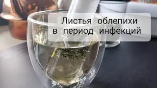 Лист облепихи против вирусов