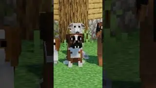 Texture-Packs