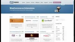 WooCommerce WordPress plugin