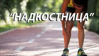 Все, что вам нужно знать о надкостнице, чтобы избавиться от проблемы.