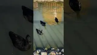 Как я съездила в БИОСФЕРУ 
