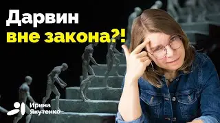 Почему люди во власти часто отрицают рациональное объяснение мира